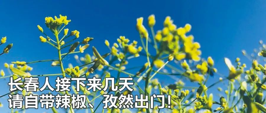 12306憋大招！“新功能”秒杀各路抢票软件