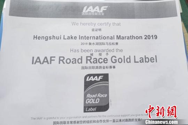 衡水湖国际马拉松赛升级“金标”赛事 民众健跑兴致更高