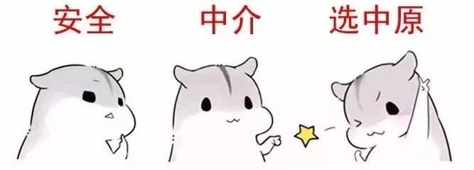 租房合同注意事项,租房合同注意事项有哪些
