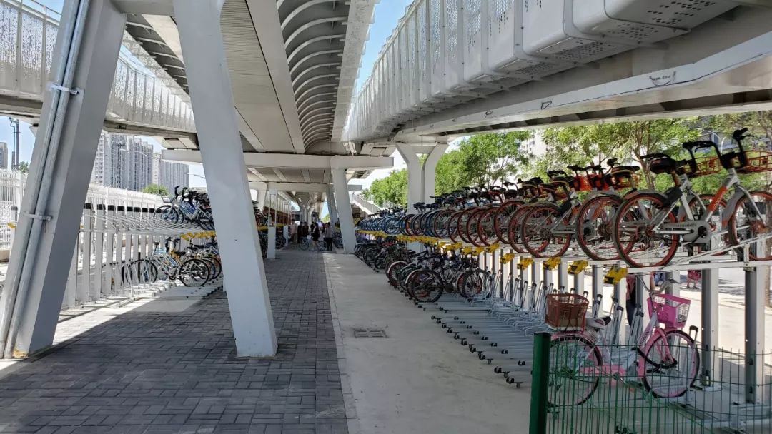 “说好的限速15，结果全是环法高手”？| 北京码农自行车专道实地体验