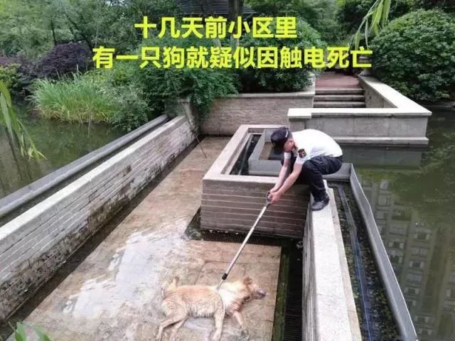 警惕！七大“危险区域”，儿童安全事故真实案例！安全，是送给孩子最好的礼物