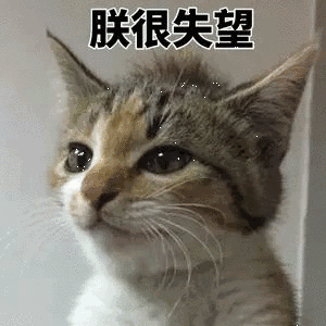 年度礼物剁手清单！！！送巨婴女友还有这种操作？