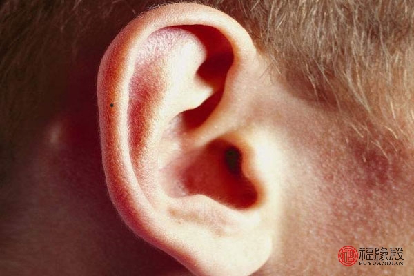 什么样的耳朵有福气哪些耳朵的人运势好