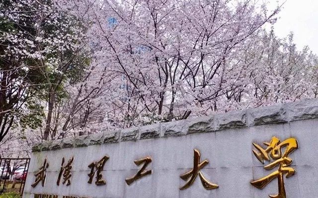 华为为什么认可这四所大学？（附微电子高校排行榜）