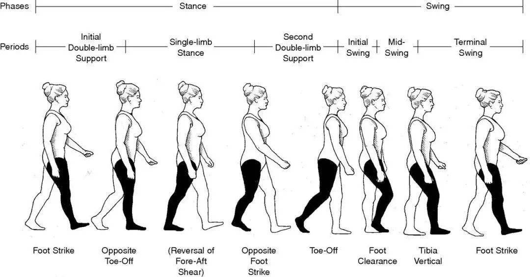 穿鞋脚后跟掉怎么回事(科学解决走路掉袜子，最后一招你绝对想不到)