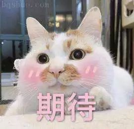 世界杯來了廣東體育（籃球世界杯來啦！43場比賽在廣東開打，觀賽指南請收好！）