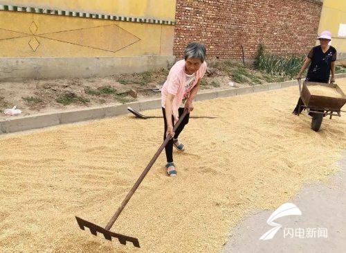 寿光小麦收割进度完成逾八成 抢时播种需记住这些要点