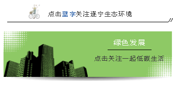 《生物多样性公约》第十五次缔约方大会（COP15）主题口号征集邀您参加