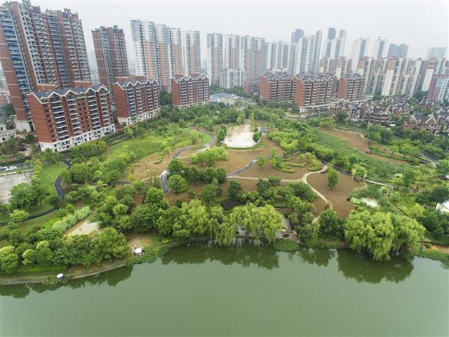 武汉推进“民呼我应”，解决不少群众烦心事疑难事