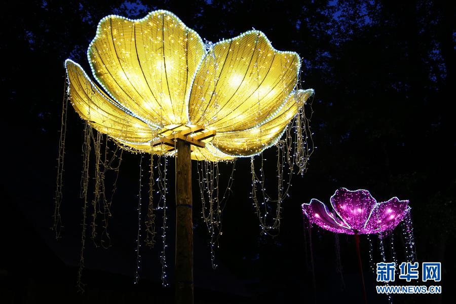 罗马尼亚西比国际戏剧节自贡灯饰熠熠生辉