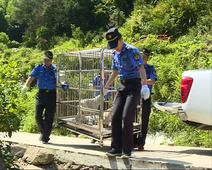 速览磐安|招聘/停电