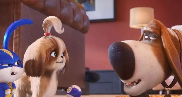 《爱宠大机密2》——主打萌与蠢,有几场戏还是蛮搞笑的)