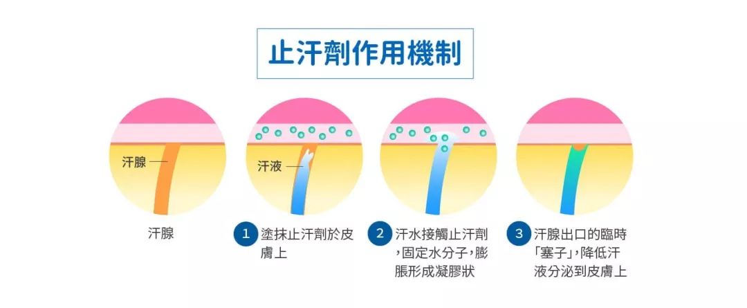 夏日三寶：香膏、體香劑、止汗劑，到底該選哪個？