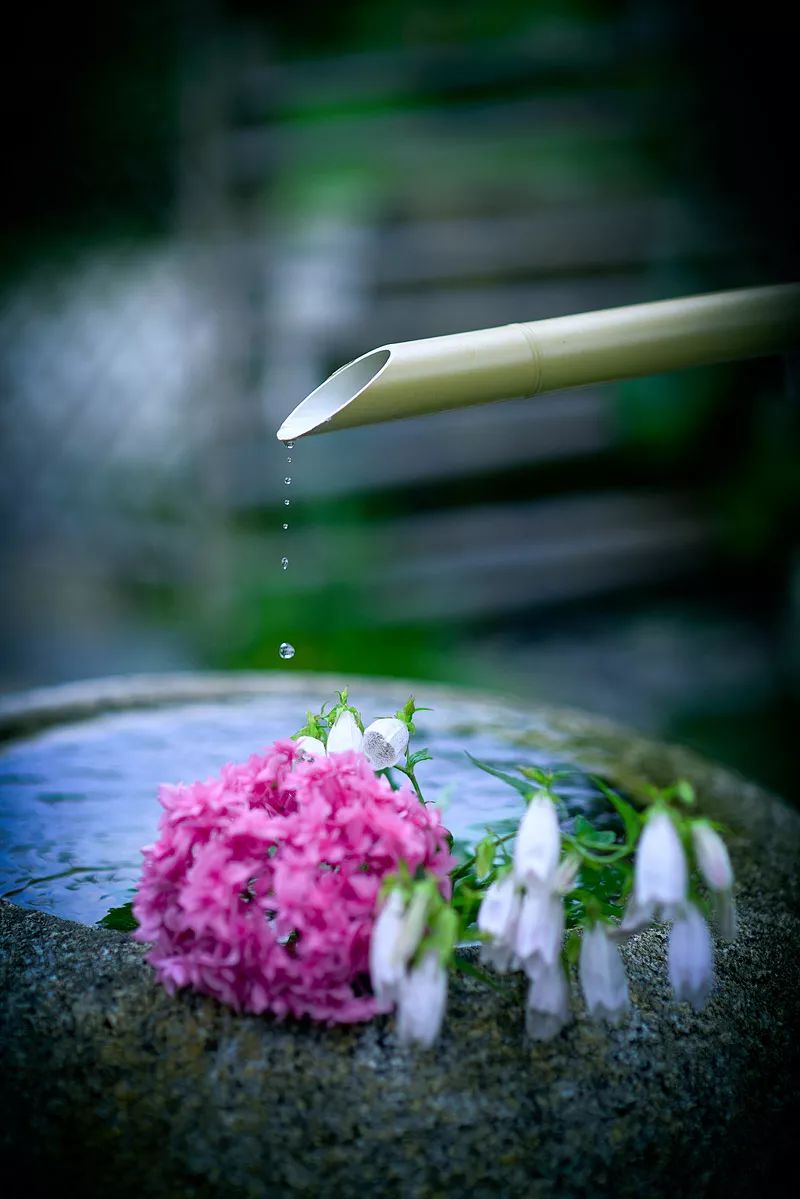 六月檐上雨，人间惊鸿客