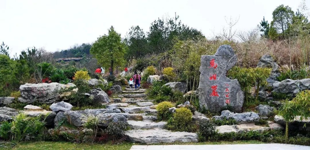 藏不住了 ▎千年宋城的各处打卡地，绝美！惊艳！