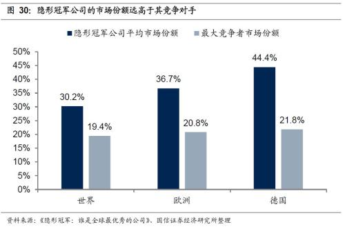 国信策略2019年中期A股投资策略：从“价值龙头”到“隐形冠军”