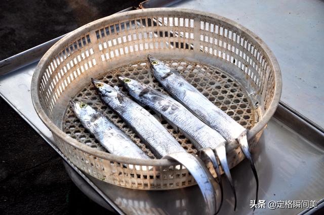 青岛黑头鱼价格今日价（青岛黑头鱼是什么鱼）