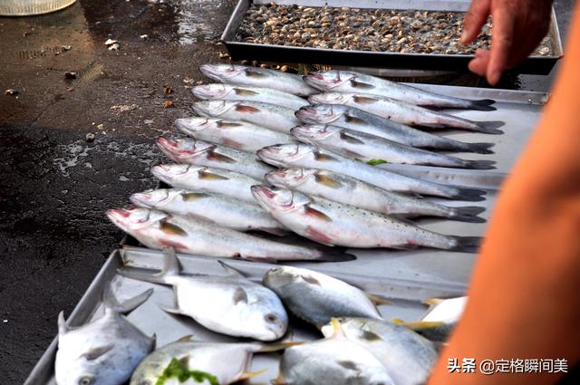 青岛黑头鱼价格今日价「青岛黑头鱼的做法」