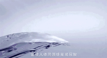 清莹露是干嘛的（清莹露是啥）-第16张图片-大连信息网