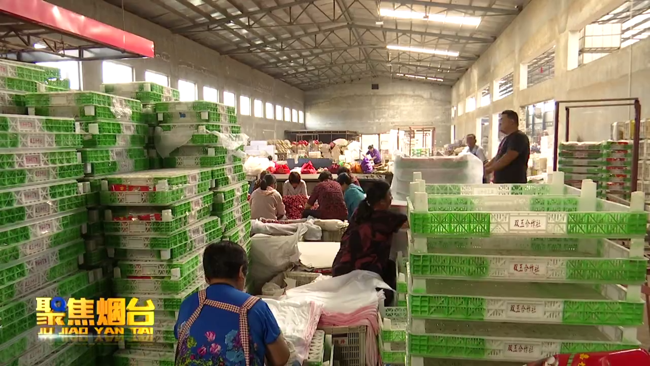 【视频】金融扶贫 助力农村产业发展