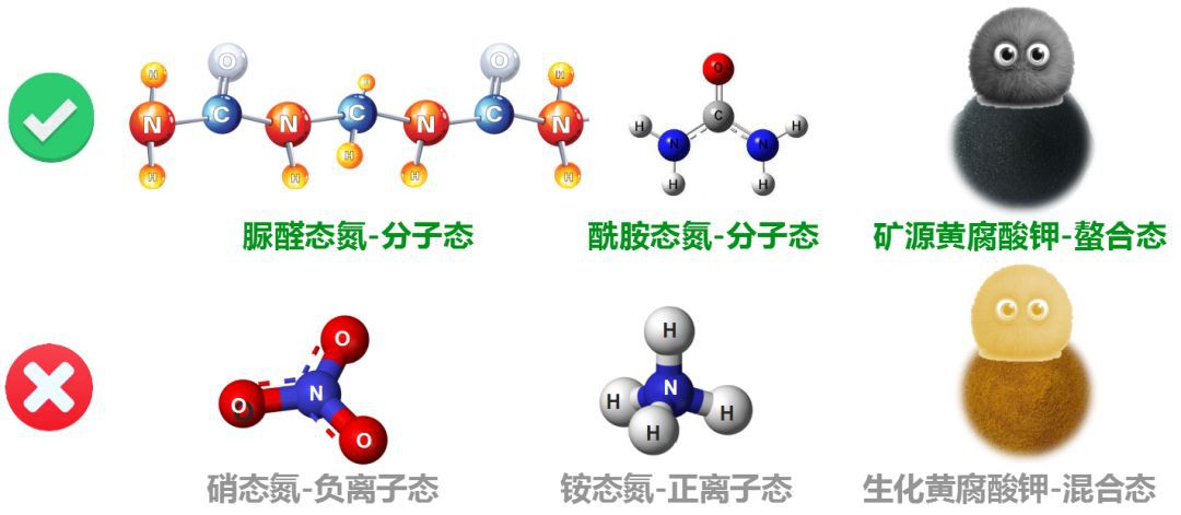 正宗液体缓释氮肥，成分决定特性