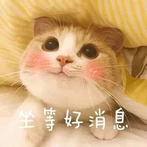 湖北生源地贷款,湖北生源地贷款时间2021