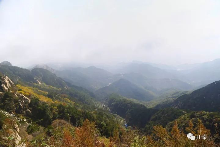 雨中登泰山，是烟是雾，兴致盎然