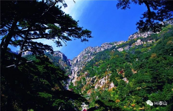 雨中登泰山，是烟是雾，兴致盎然