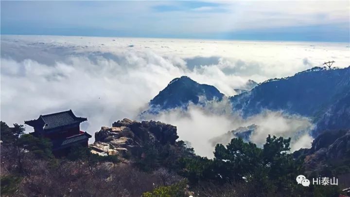 雨中登泰山，是烟是雾，兴致盎然