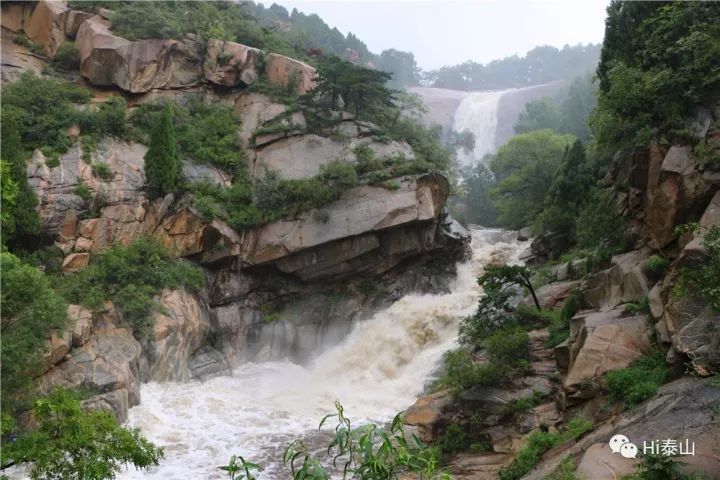 雨中登泰山，是烟是雾，兴致盎然