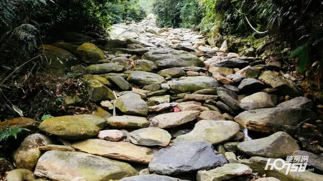 肇庆人常去的这座山，关于它的古老传说，很多人却不一定知道……