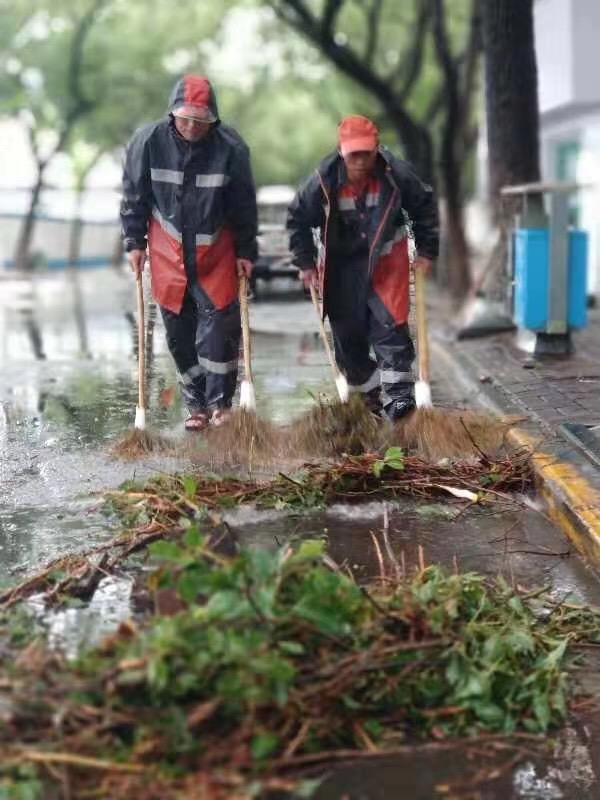 动态丨杭州湾跨海大桥双向开始放行小客车，限速60码