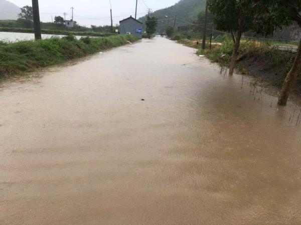 动态丨杭州湾跨海大桥双向开始放行小客车，限速60码