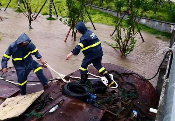 动态丨杭州湾跨海大桥双向开始放行小客车，限速60码