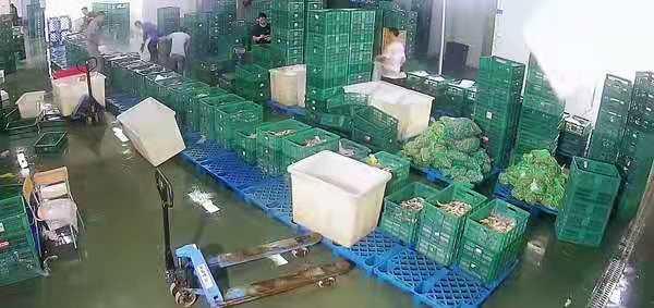 动态丨杭州湾跨海大桥双向开始放行小客车，限速60码