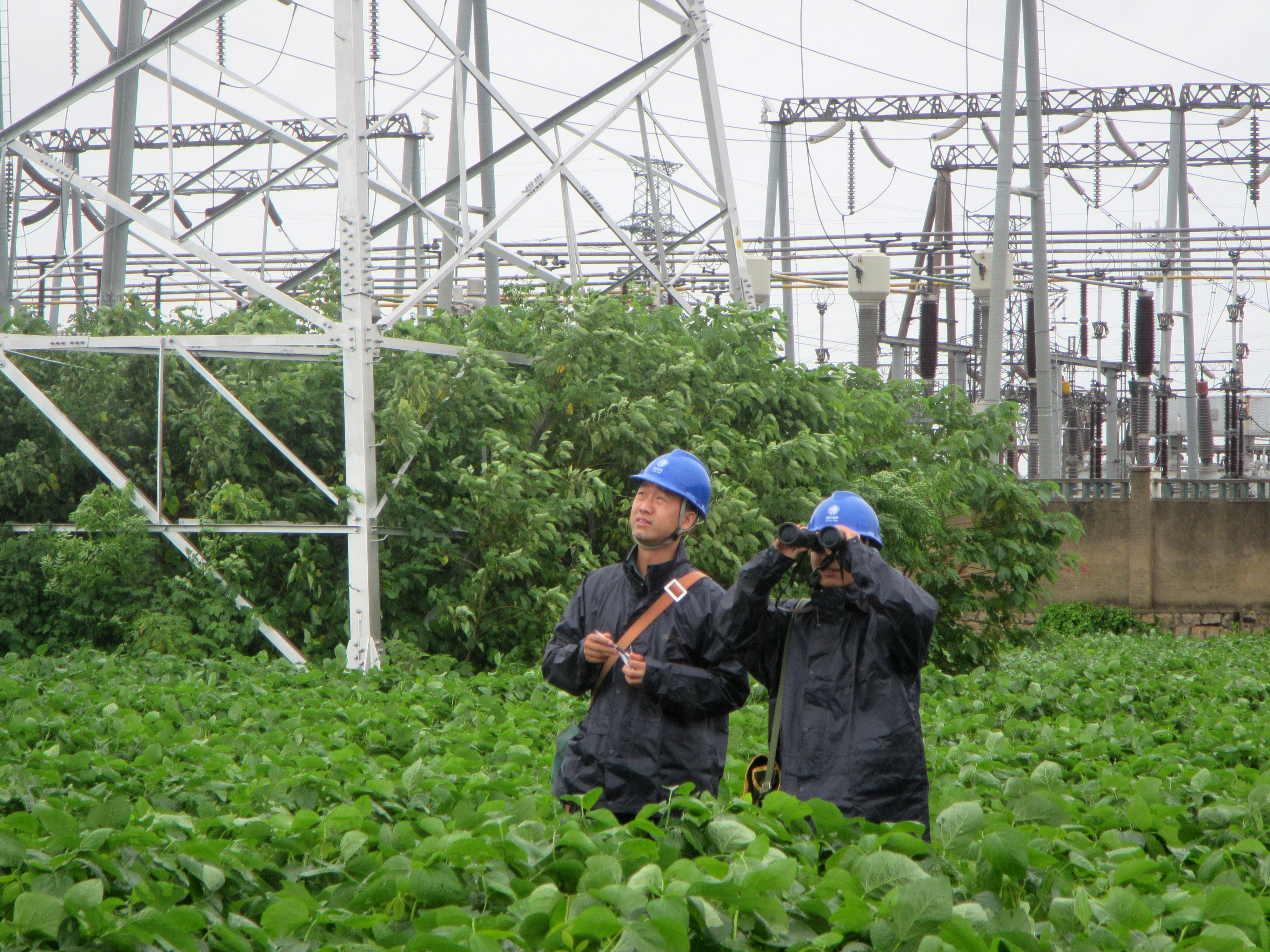 济宁供电公司冒雨抢修线路，恢复受损线路居民用电不摸黑