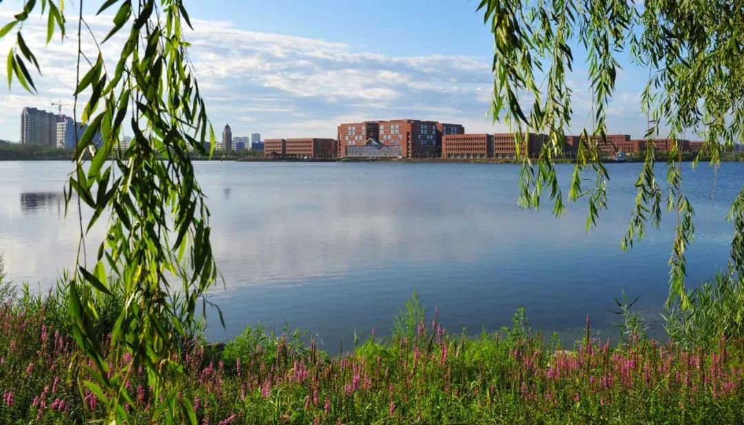 高校知识扫盲，25所理工大学及其特色专业盘点，赶快收藏