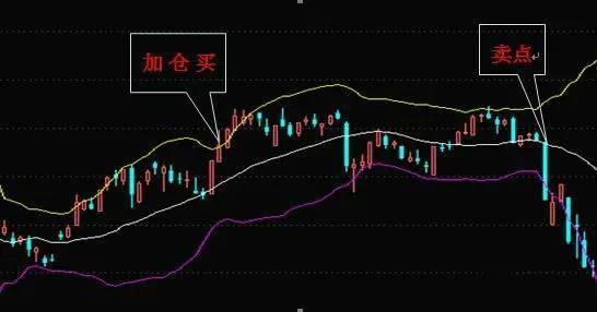 股市中观察过1000个实际盈利的人，他们基本都掌握这个技巧，原来死啃“一个指标”照样赚翻天