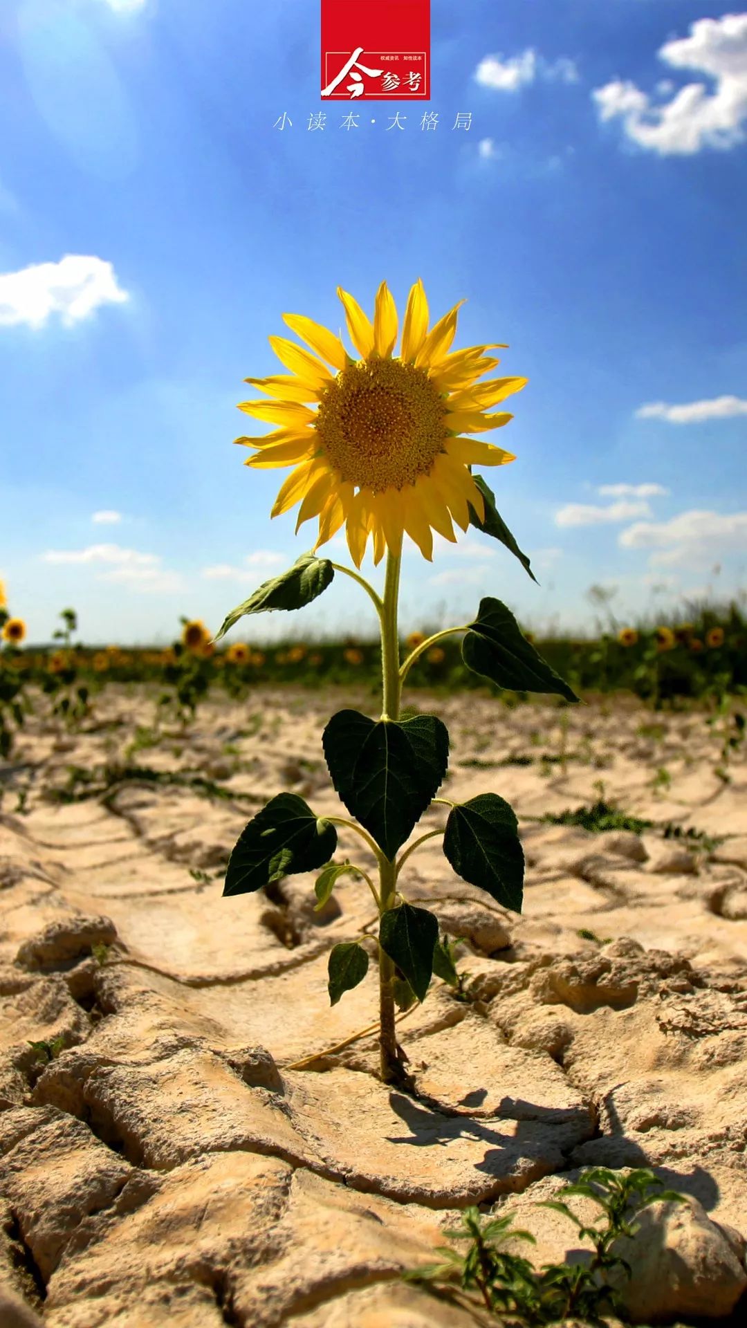 新中国成立70年特稿 | 红色家书：致，我最爱的国与家