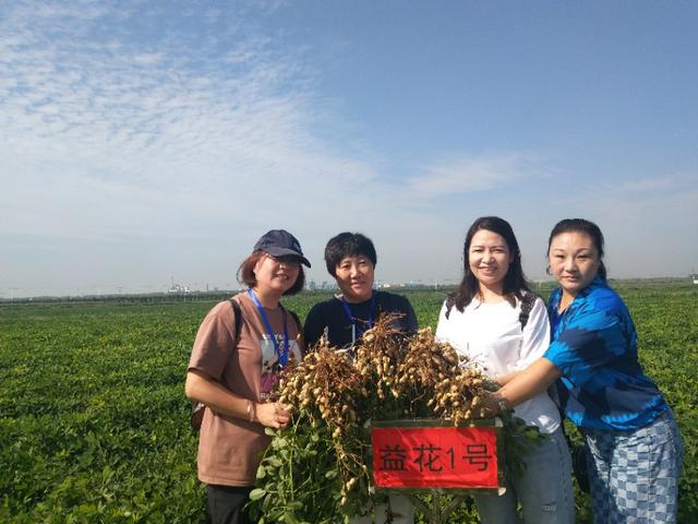 第二届“益花1号”花生产业化发展论坛在河南汝州举行