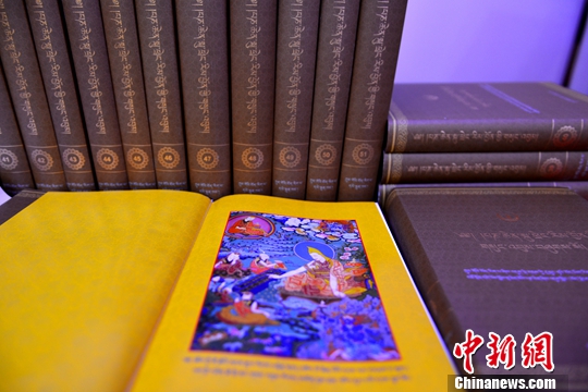 十一世班禅出席《中华大典·藏文卷》之《历世班禅文集》首发式