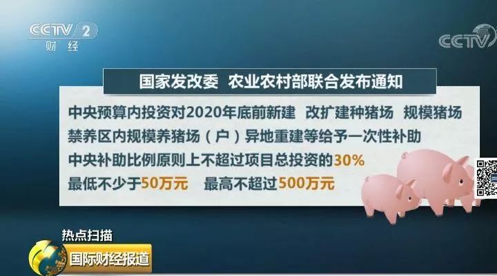 “二师兄”身价飙升！养猪吗？给钱给地最高补助500万