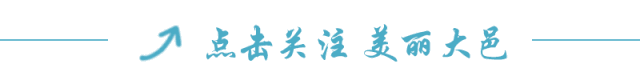 @大邑社会组织：网上年检往这里看！