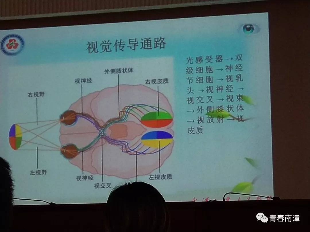 【学习心得】记录2019年湖北省中学少先队辅导员培训之旅