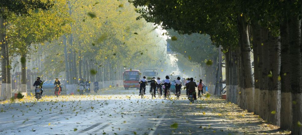 冷空气来了！常德下周最低气温或跌破17℃,还有这些地方要停电...