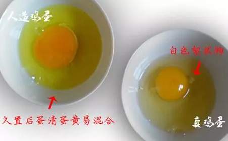 假鸡蛋和真鸡蛋的区别（图文讲解真假鸡蛋的区别）