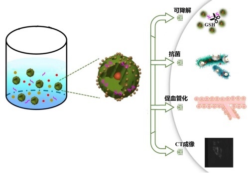 “神奇胶水”加速伤口愈合还不留疤