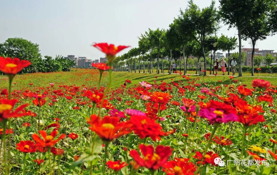 花都值得去的免费景点(【重磅】国庆花都旅游景点推荐，景美好玩有的还免门票！)