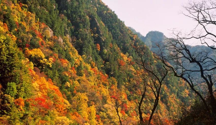 李白与太白山（三）