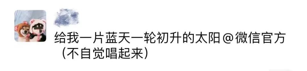 微博昵称后带世界杯国旗(@微信官方要国旗头像咋回事？微博程序员发出“灵魂质问”……)